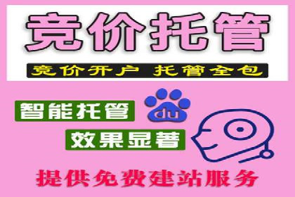 竞价推广中的用户行为分析：如何提高转化率——以某电商为例